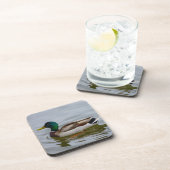 Swim Mallard Swim Untersetzer (Rechte Seite)