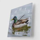 Swim Mallard Swim Wall Uhr (Winkel)