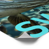 Swim !! poster (Ecke)