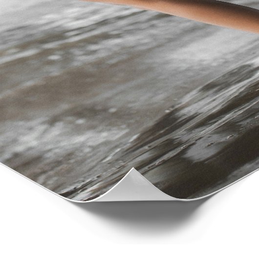 Swimsuit Model Posing Under A Pier Poster (Ecke)