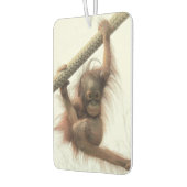 Swingbaby Orangutan Air Freshener Autolufterfrischer (Links)