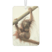 Swingbaby Orangutan Air Freshener Autolufterfrischer (Rückseite)