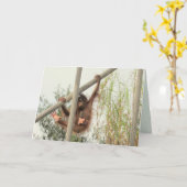 Swingbaby Orangutan Geburtstagskarte Karte (Gelbe Blume)