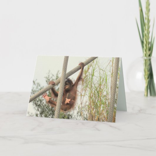 Swingbaby Orangutan Geburtstagskarte Karte (Vorderseite)