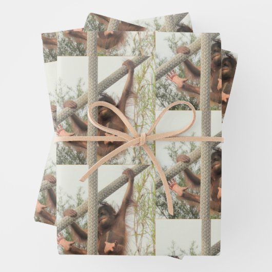 Swingbaby Orangutan Jeden Anlaß Geschenkpapier Set (Beispiel)