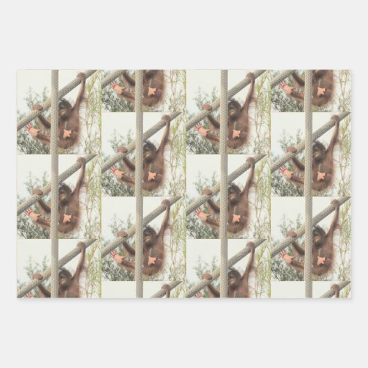 Swingbaby Orangutan Jeden Anlaß Geschenkpapier Set (Vorderseite 3)