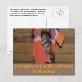 Swingers Greetings from Adventure Travel Postkarte (Vorne/Hinten)