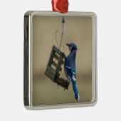 Swinging Blue Jay Silbernes Ornament (Rechts)