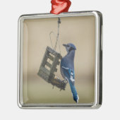 Swinging Blue Jay Silbernes Ornament (Links)
