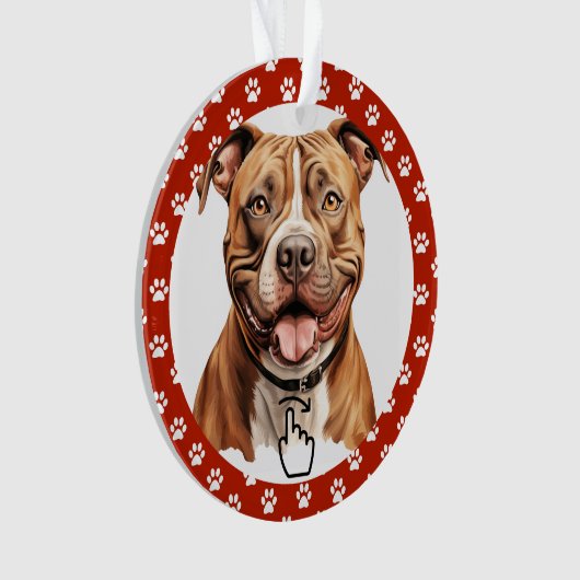 SWIPE RIGHT Version 2 - Siehe Zurück ... Keramik-O Ornament (Vorderseite)