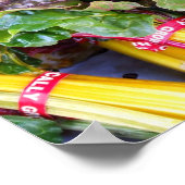 Swiss Chard Poster (Ecke)