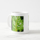 Swiss Chards Kaffeetasse (Vorderseite Links)
