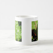 Swiss Chards Kaffeetasse (Mittel)