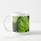 Swiss Chards Kaffeetasse (Links)