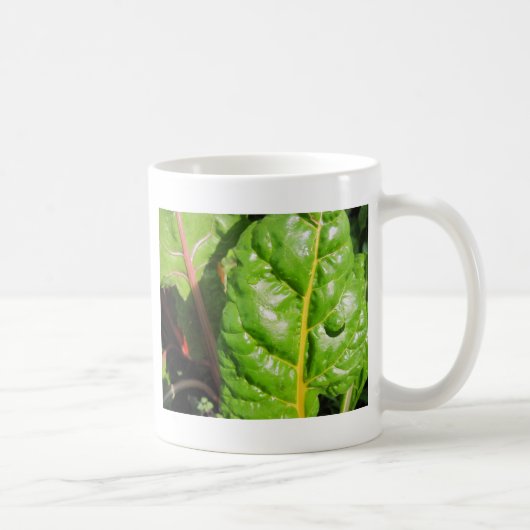 Swiss Chards Kaffeetasse (Rechts)