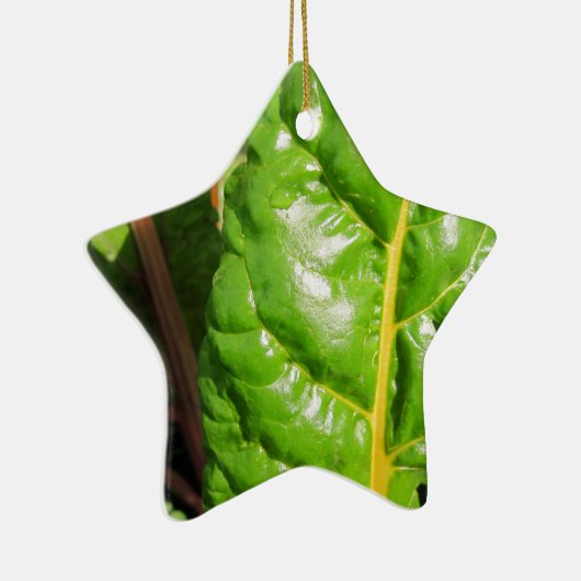Swiss Chards Keramik Ornament (Rechts)