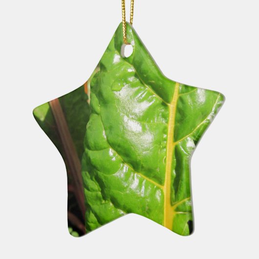 Swiss Chards Keramik Ornament (Links)