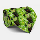 Swiss Chards Krawatte (Gerollt)