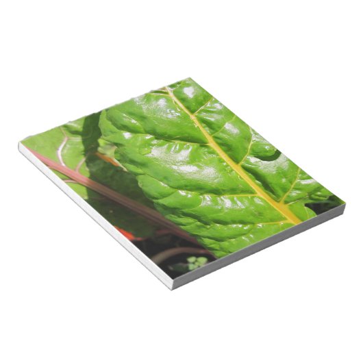 Swiss Chards Notizblock (angewinkelt)