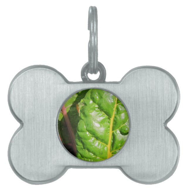Swiss Chards Tiermarke (Vorderseite)