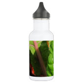 Swiss Chards Trinkflasche (Links)