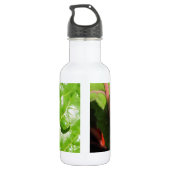 Swiss Chards Trinkflasche (Rückseite)