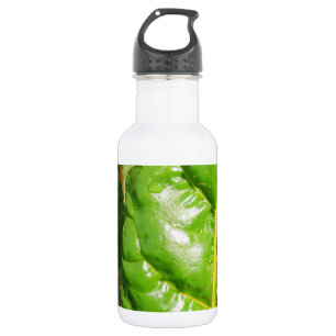Swiss Chards Trinkflasche