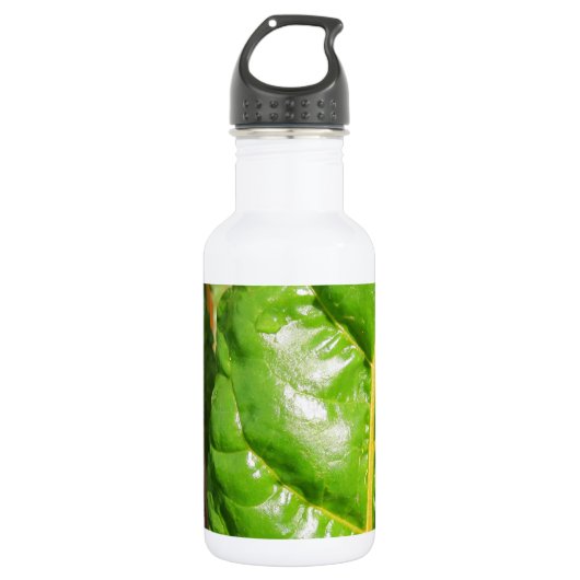 Swiss Chards Trinkflasche (Vorderseite)
