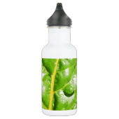 Swiss Chards Trinkflasche (Rechts)