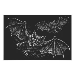 Swooping Bat - von BurnsInHell Poster