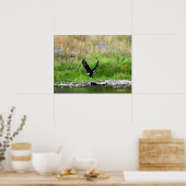 Swooping Eagle Poster (Küche)