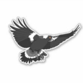 Swooping Magpie Aufkleber (Vorderseite)