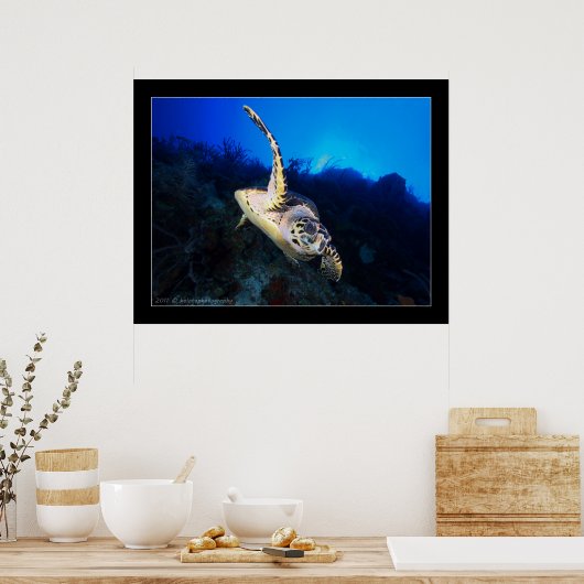 Swooping Turtle Poster (Küche)