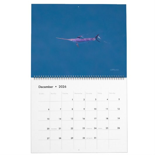 Swordfish Only Calendar 2026 Kalender (Dez 2026)