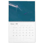 Swordfish Only Calendar 2026 Kalender (Feb 2026)