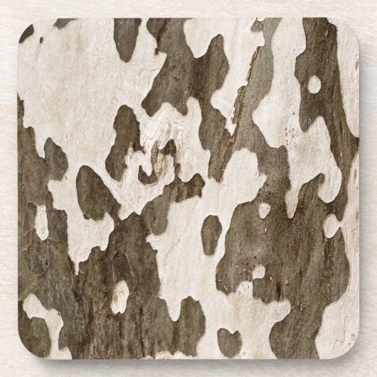 Sycamore Bark Untersetzer (Vorderseite)