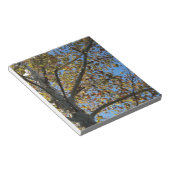 Sycamore Baum im Fall gegen einen blauen Himmel Notizblock (angewinkelt)