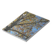 Sycamore Baum im Fall gegen einen blauen Himmel Notizblock (Rotiert)