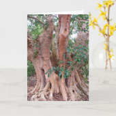 Sycamore Fig Tree Karte (Gelbe Blume)