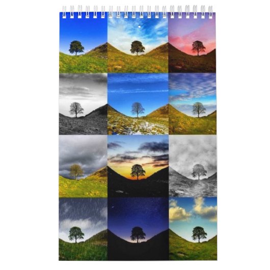 Sycamore Gap 2024 Kalender (Titelbild)
