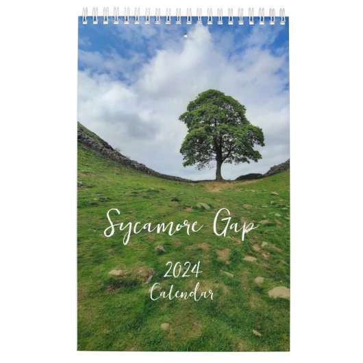 Sycamore Gap 2024 Kalender (Rückseite)