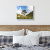 Sycamore Gap im Herbst Leinwanddruck (Insitu (Schlafzimmer))