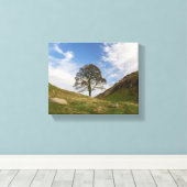 Sycamore Gap im Herbst Leinwanddruck (Insitu (Holzboden))