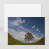 Sycamore Gap im Herbst Postkarte (Vorne/Hinten)
