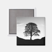 Sycamore Gap Magnet (Vorderseite/Rückseite)