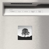 Sycamore Gap Magnet (In Situ (Geschirrspüler))
