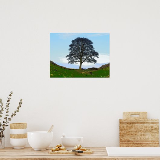 Sycamore Gap Poster/Print Poster (Küche)