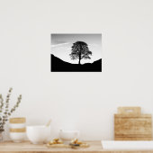 Sycamore Gap Poster/Print Poster (Küche)