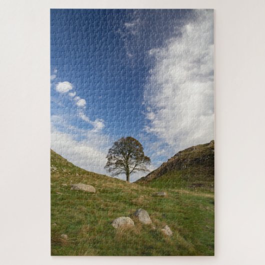 Sycamore Gap Puzzle (Vertikal)