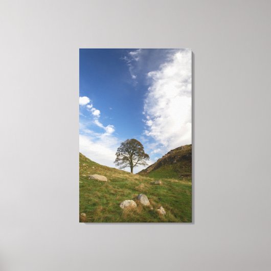 Sycamore Gap Stretched Canvas Print Leinwanddruck (Vorderseite)